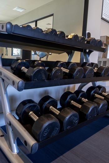 Fitness wellness center with free weights